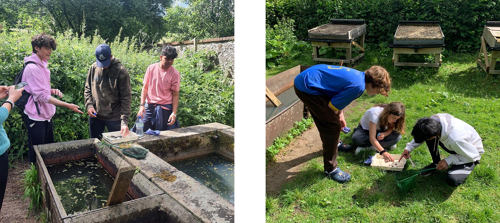 Double-image-template